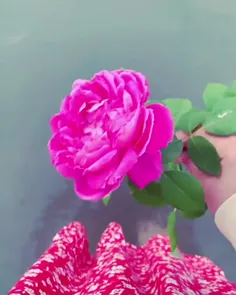 آروم باش 💖🌺