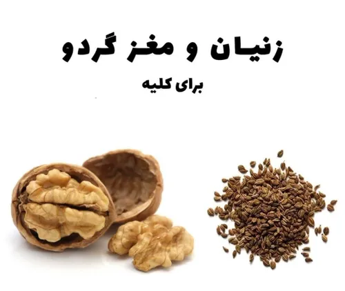 📌 خواص زنیان و گردو