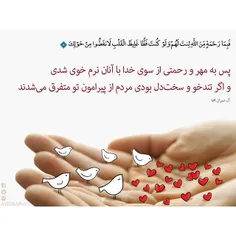 پیامبر اکرم (صلی #الله علیه وآله) در جمله ای می فرمایند: