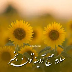 سلام به جمعه خوش آمدید ☕ 🌸 😊 