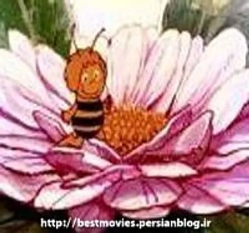 حاج زنبور عسل