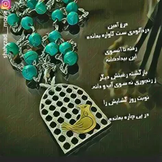 مرغ آمین