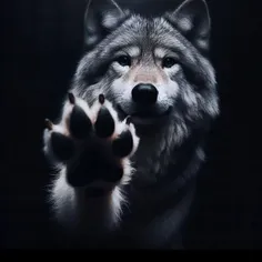 تو قلب عاشق من ببین در اول ببین