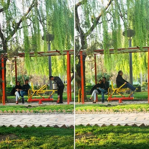 dailytehran photography people Tehran park couple date da