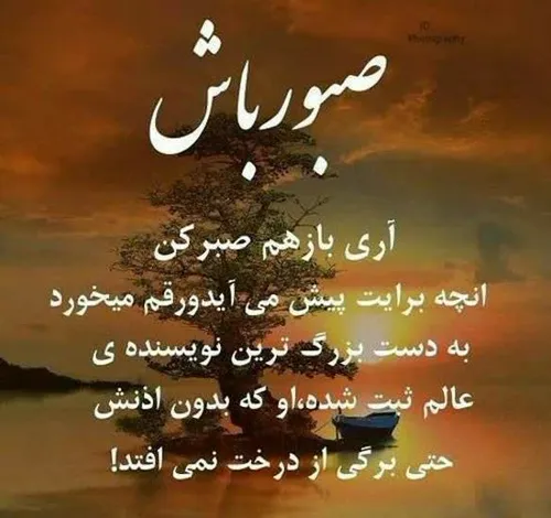 گوناگون mahdireza179 32442557 - عکس ویسگون