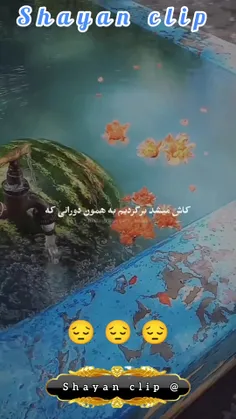 دلمون خوشه داریم زندگی میکنیم.چشم دیدن همو نداریم.سر هم ک