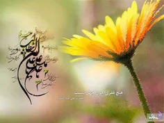 ولادت امام علی ع مبارک باد