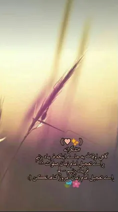 🌷اللهم عجل لولیک الفرج🌷