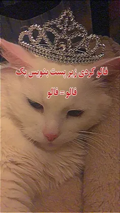 فالوم کنی بک میدم:))