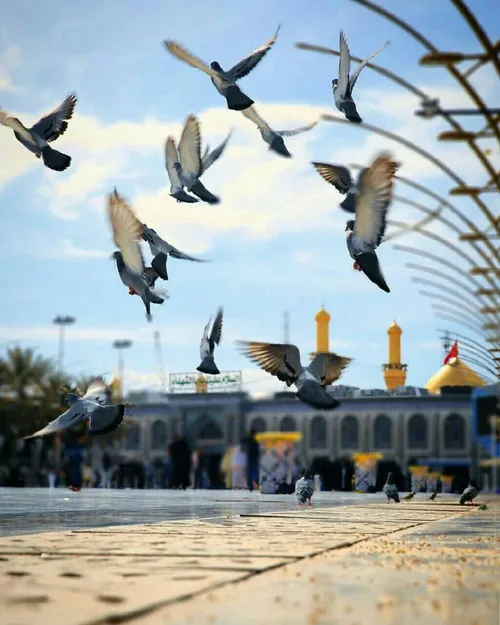 محرم نزدیک بیاین خودمونو واسه دوماه نوکری آماده کنیم 😢