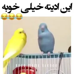 جررر بخوریم🌚🤌