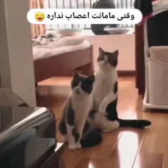 اوه یا خدا