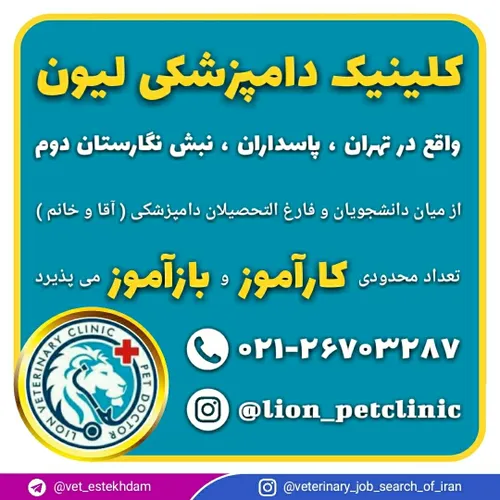 جذب بازآموز و کارآموز در یک کلینیک دامپزشکی در تهران