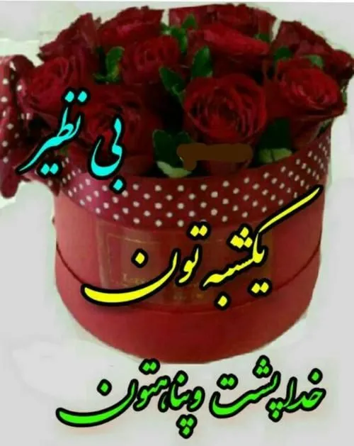 سلام عجب صبحی است