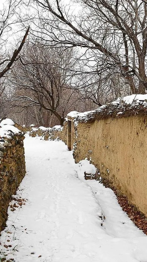 ایران زیبا