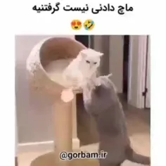 گورباح💕🤌🏻