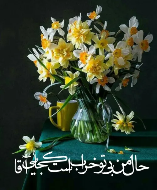 🍃🌸 یا مهدی