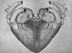 آیا میدونستید سمبل ❤ ️ که ما استفاده می کنیم، در حقیقت تر