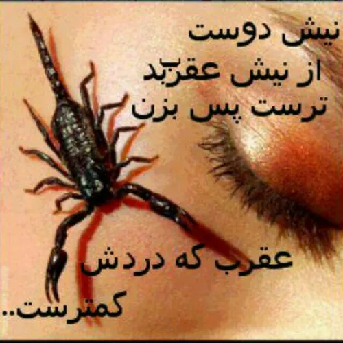 عاشقانه: