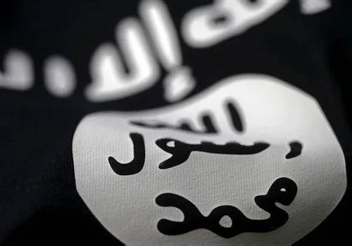 🔸 ابراز خوشحالی داعش از ترور سردار سلیمانی به دست ارتش تر