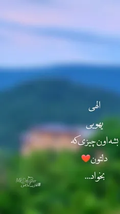 📌اگه از اکسپلور میای دنبال  و حمایت کن📸🙋🏼‍♂️