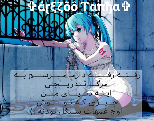 arezoo tanha