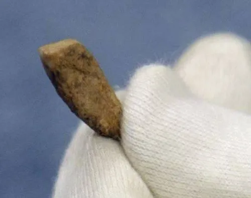 تصویری از دندان به جا مانده از یک انسان متعلق به 560 هزار