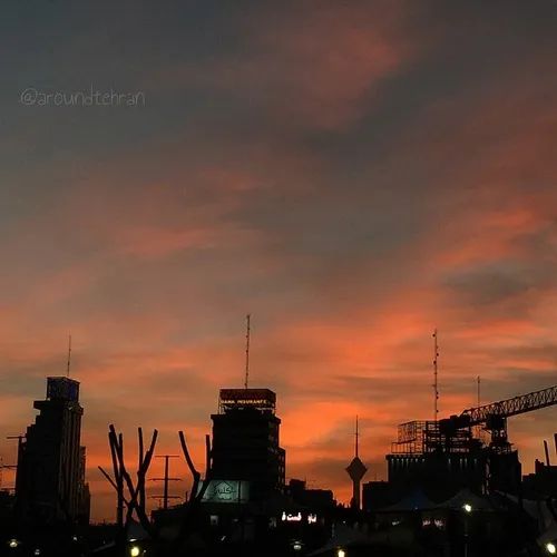 The silhouette of buildings, tower crane, trees, aerials,