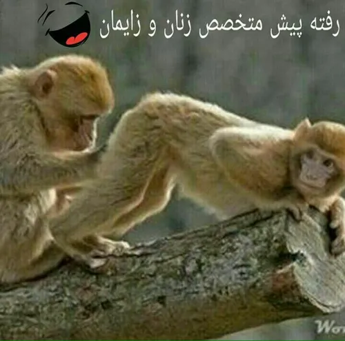 خخخخخخخخخح