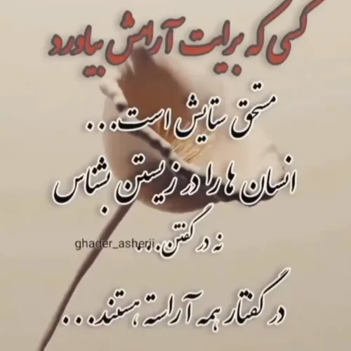  6558zz 43045817 - عکس ویسگون