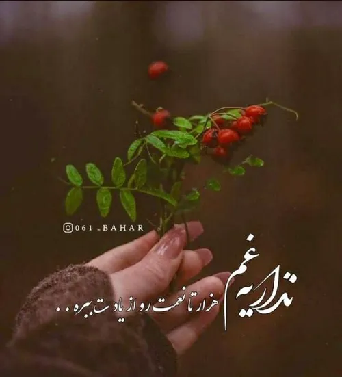 💝خدایاشکرت💝