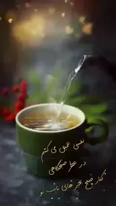 صبح یعنی یـک سلام ناب ناب