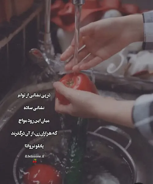 🍒🌱در پی نشانی از توام