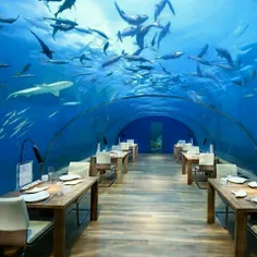 یکی از زیباترین #رستوران های زیر آبی در #مالدیو و در اعما
