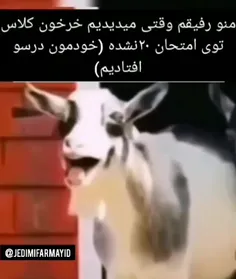 فالو یادت نره