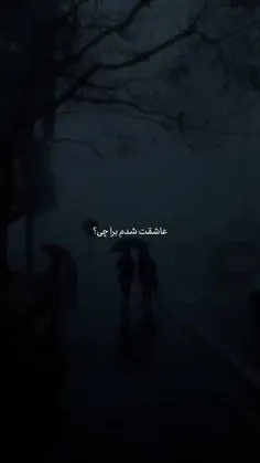 عاشقت شدم براچی..)