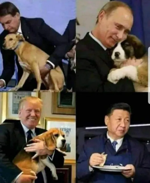 رفتار رئیس جمهور های مختلف با سگ ها :))))))
