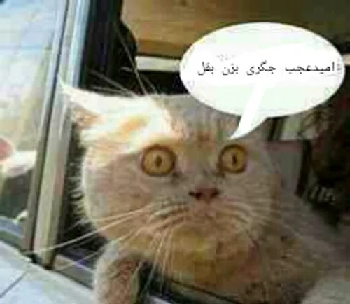 خخخخخخخخخ:-)