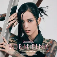  JISOO  BORN PINK 