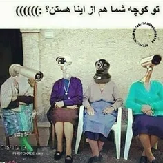 تو کوچه ما هر چقدر بخواین ازینا هست😂😂🤦🏻‍♂️