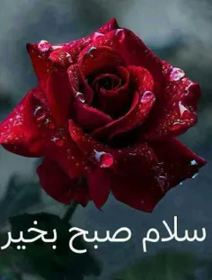 گوناگون leily.s 8656254