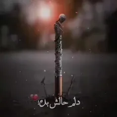 دیشب از تنهایی...🥃
اینقدر دود گرفتم که جونم درآد..🚬