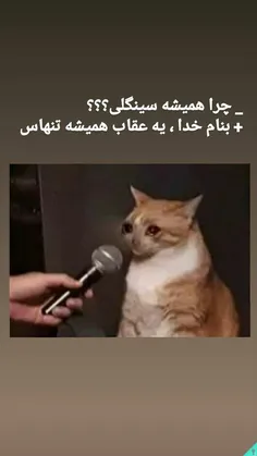 یه عقاب هسدم😂 😂 😂 نو🙂 😌 😂 👌