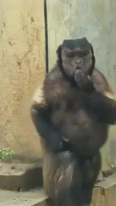 #ارشـامی داستان  #کوتاه 🤪🤪