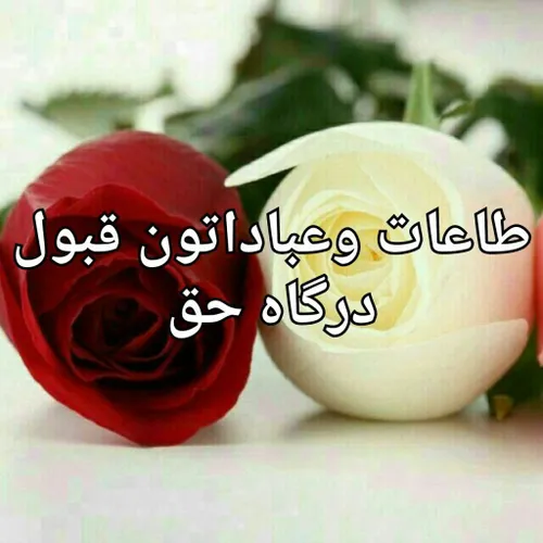 باز امشب حق صدایم کرده است