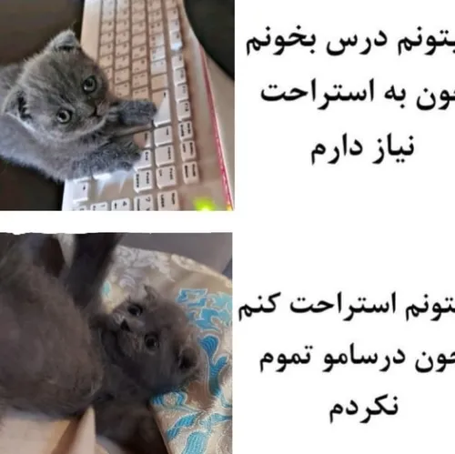 یکم حق ببینیم 👌😐😂😂