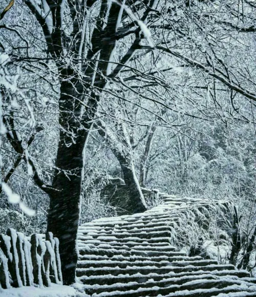 نمای زیبای زمستانی پله های رویایی شیطان کوه لاهیجان گیلان