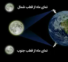 ما در مقایسه با فردی که در نیمکره مخالف قرار دارد وارونه 