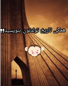 همه کامنت