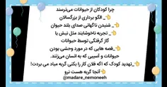 حیوانات madare_nemoneeh 28312737